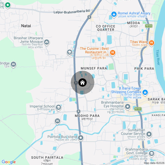 Google Map