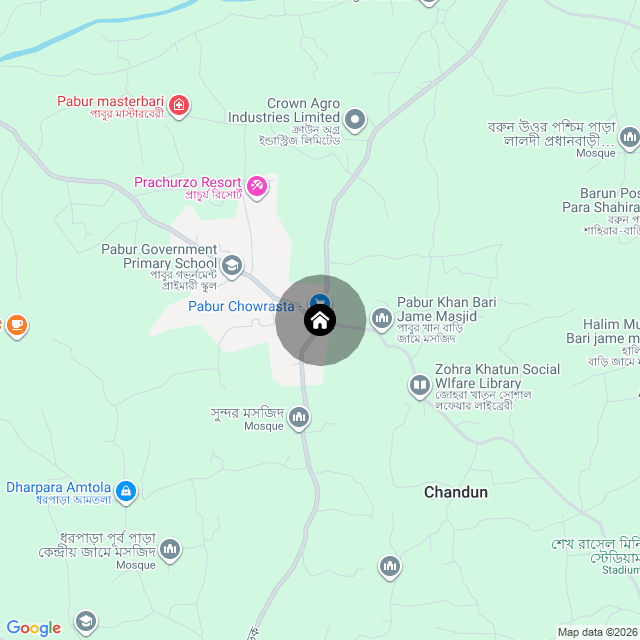 Google Map