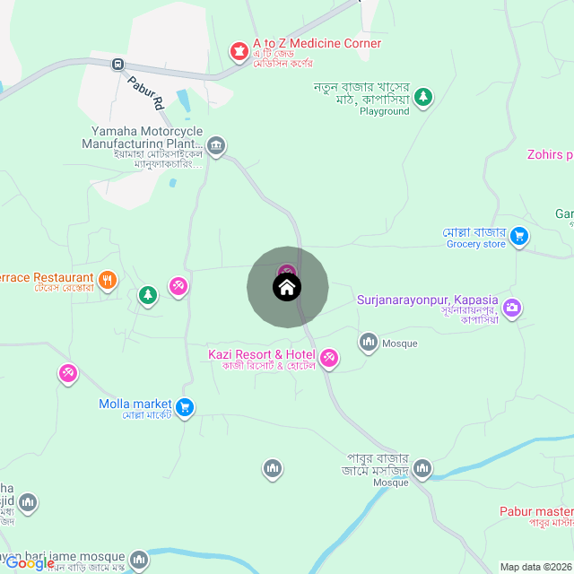 Google Map