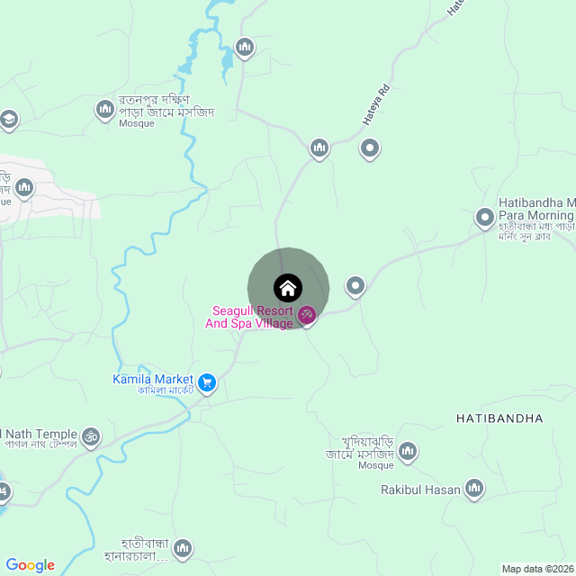 Google Map