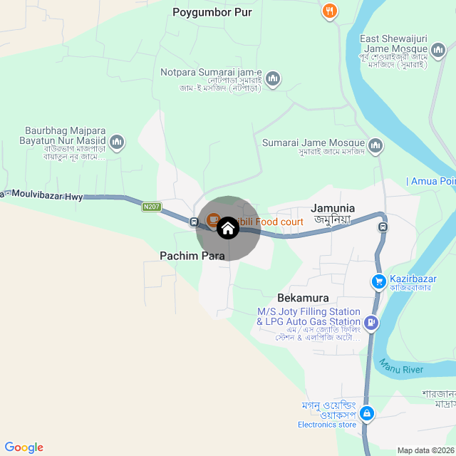 Google Map