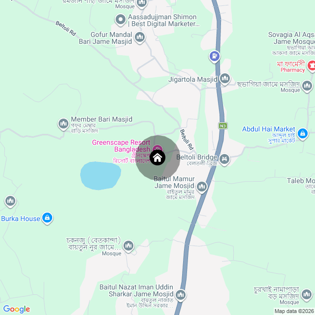 Google Map