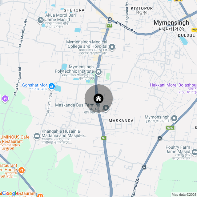 Google Map