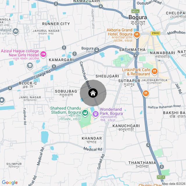 Google Map