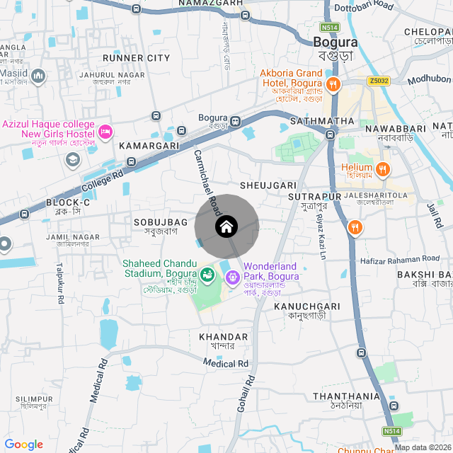 Google Map