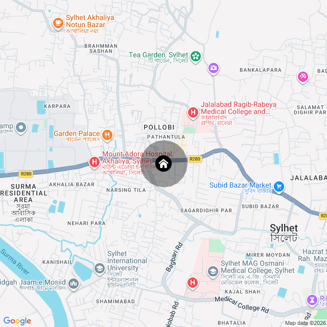 Google Map