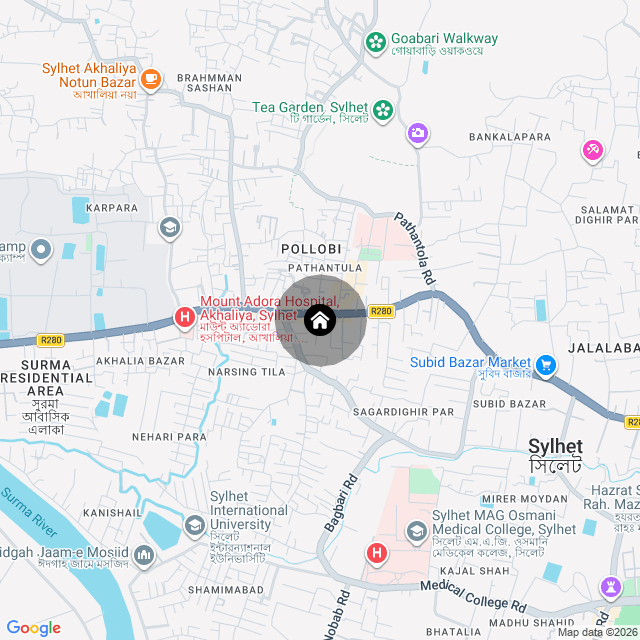 Google Map
