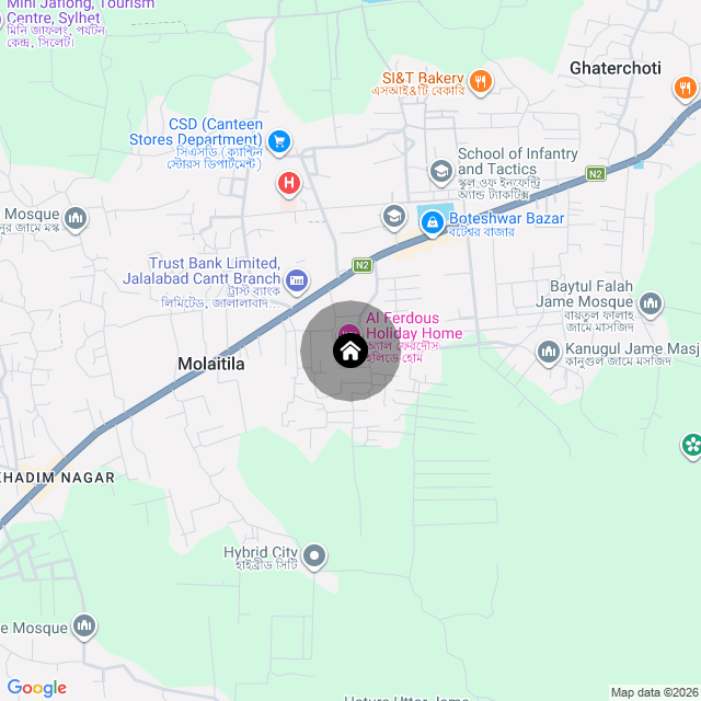 Google Map