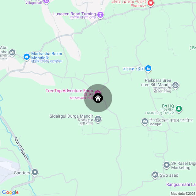 Google Map
