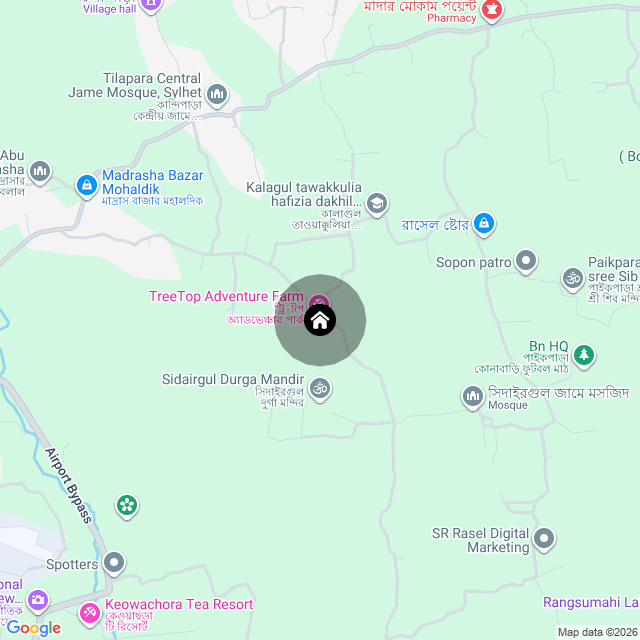 Google Map
